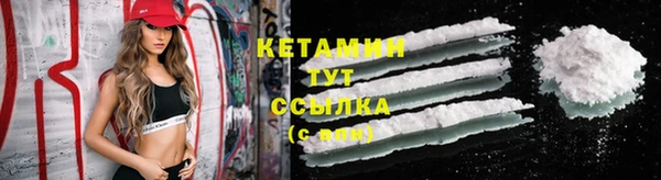 трава Аркадак