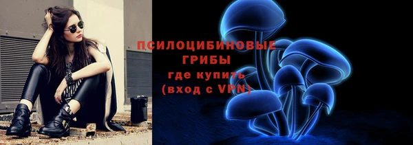 трава Аркадак