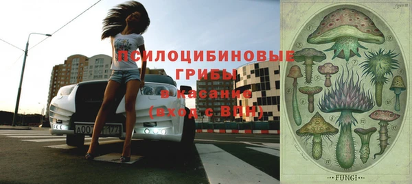 гашик Армянск