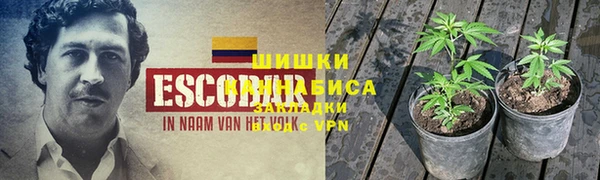 гашик Армянск