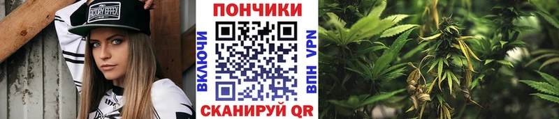 Канабис AK-47  Орёл 